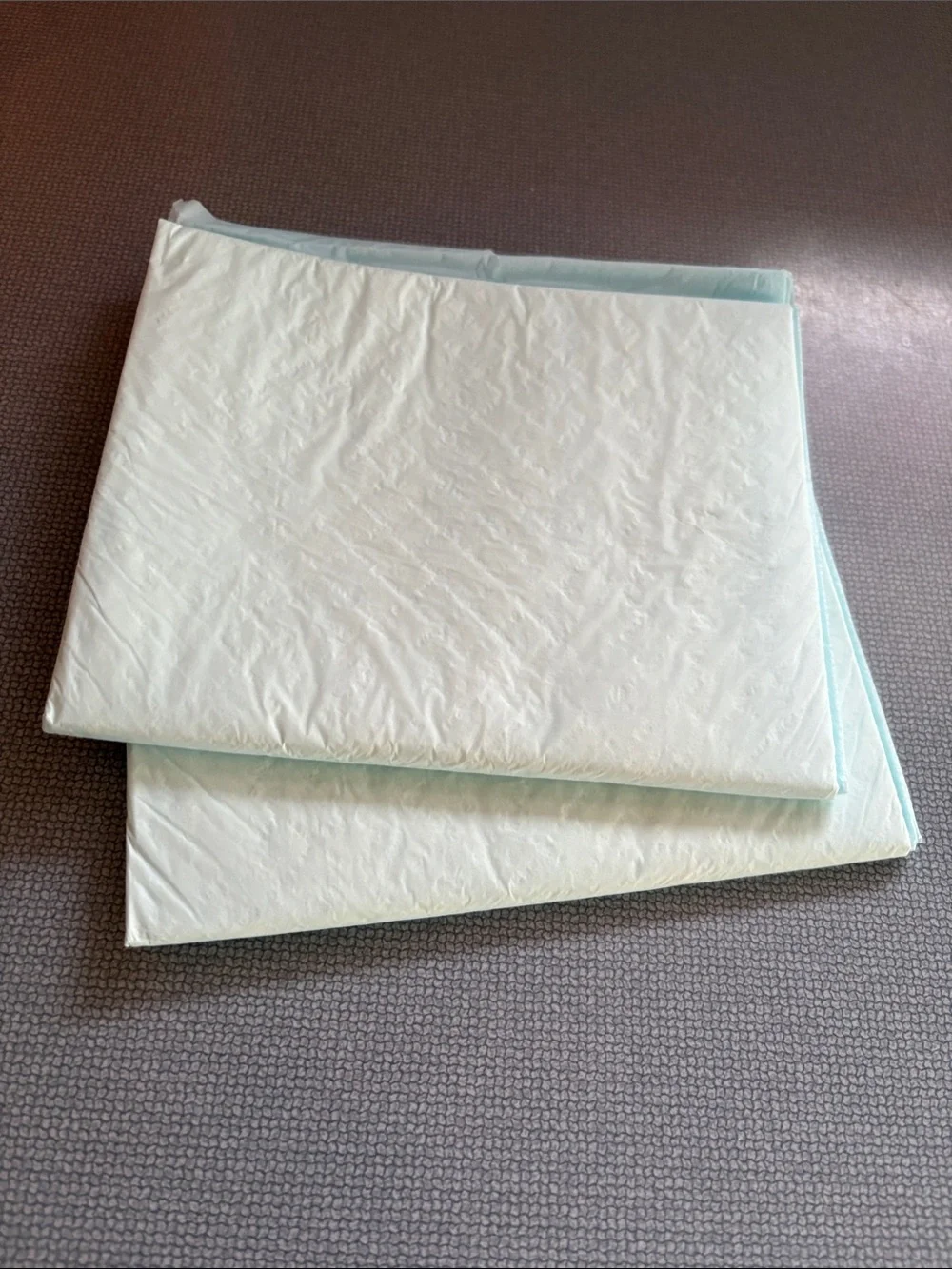 Disposable Dog Training Pad - White with Light Blue Border 17 in X 25 in 100 ct